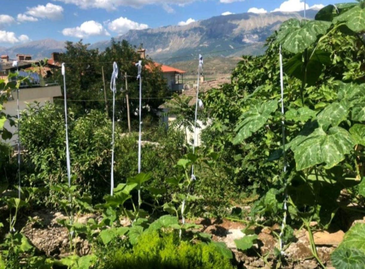 MiziriGuestHouse Gjirokastër Extérieur photo